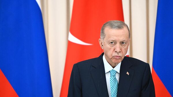 Президент РФ В. Путин провел переговоры с президентом Турции Р. Т. Эрдоганом - 俄羅斯衛星通訊社