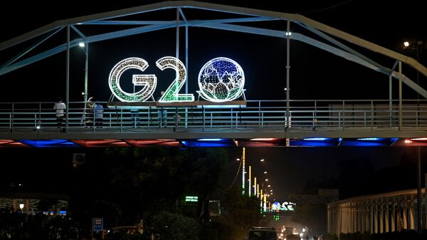 G20 - 俄羅斯衛星通訊社