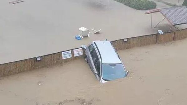 保加利亚洪水 - 俄罗斯卫星通讯社