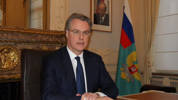俄罗斯常驻欧盟代理代表基里尔∙洛格维诺夫 - 俄罗斯卫星通讯社