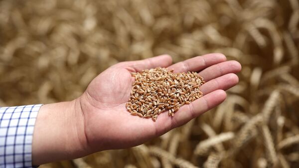 俄农业部：自1月11日起小麦出口关税将升至每吨4165.9卢布 - 俄罗斯卫星通讯社