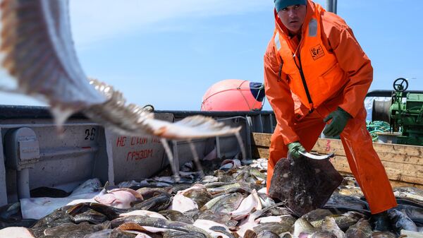 中国新近允许12家俄罗斯渔业企业对华出口产品