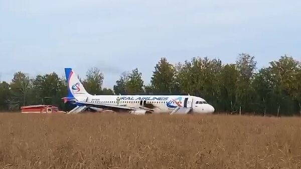 俄侦委已对新西伯利亚州飞机坠毁事故进行立案调查 - 俄罗斯卫星通讯社
