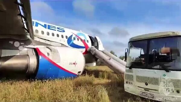 新西伯利亞州飛機迫降的原因為液壓系統故障 - 俄羅斯衛星通訊社