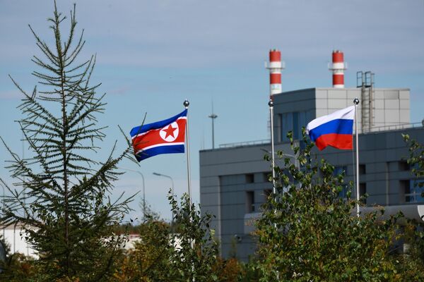 俄罗斯和朝鲜两国国旗在俄罗斯东方航天发射场飘扬。 - 俄罗斯卫星通讯社