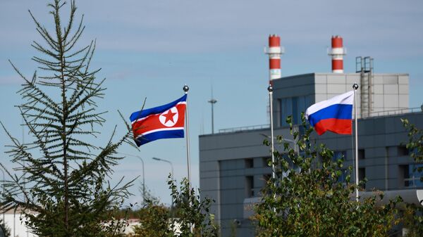  俄罗斯外长拉夫罗夫表示，俄罗斯和朝鲜之间建立友好关系不针对其他国家，目的是为了推动互惠互利的项目 - 俄罗斯卫星通讯社