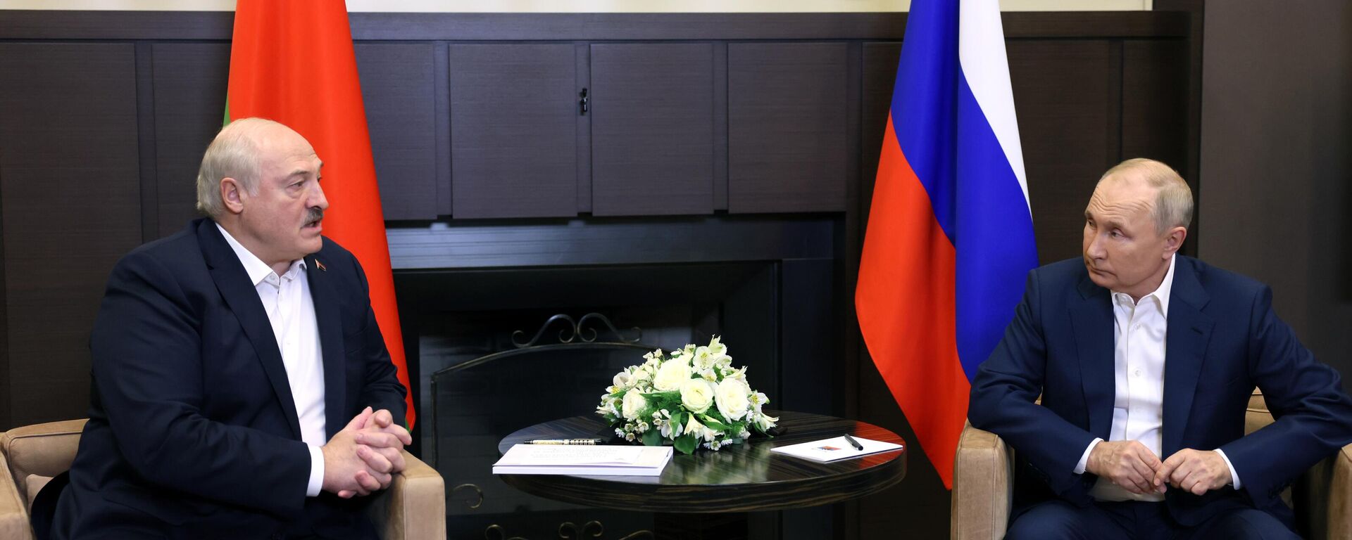 俄总统普京与白俄总统卢卡申科在索契举行会谈 - 俄罗斯卫星通讯社, 1920, 02.04.2024