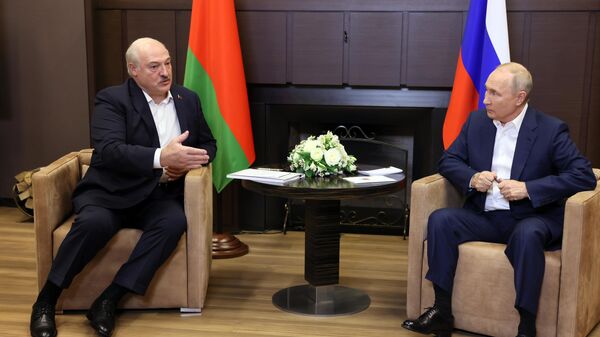 俄罗斯总统普京与白俄罗斯总统卢卡申科在索契举行会谈 - 俄罗斯卫星通讯社