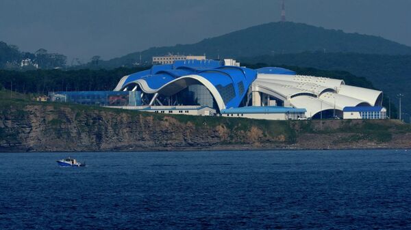 朝鮮領導人參觀符拉迪沃斯托克濱海水族館 - 俄羅斯衛星通訊社