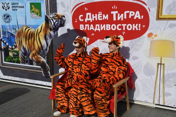 周日数千人参观了在符拉迪沃斯托克“体育沿岸街”举行的老虎日庆祝活动 - 俄罗斯卫星通讯社