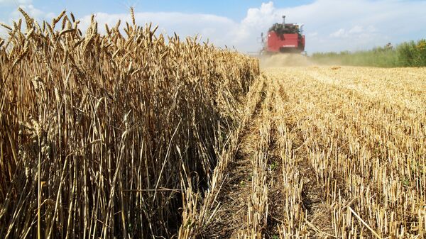 波兰政府：乌克兰有关解除向欧盟粮食供应禁运的建议不可接受