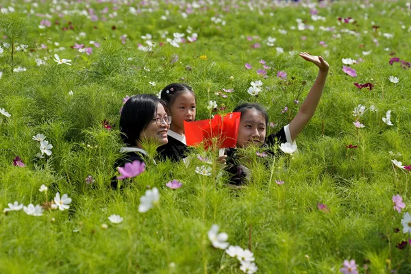 杭州，一位女士以及两名女孩在中国国庆节在花田里顽耍。 - 俄罗斯卫星通讯社