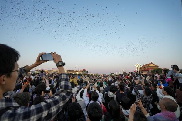 北京，游客在中国国庆节拍摄鸽子。 - 俄罗斯卫星通讯社