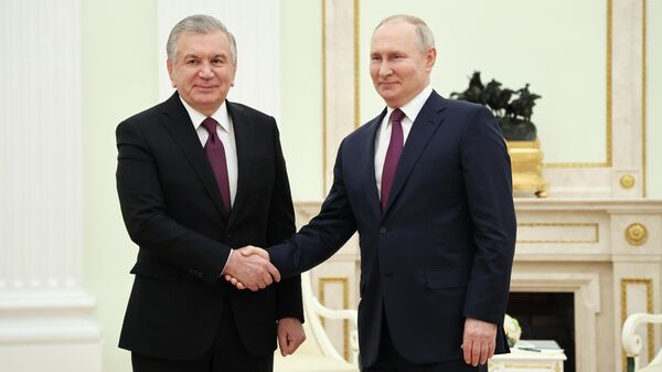 俄罗斯总统普京与乌兹别克斯坦总统米尔济约耶夫 - 俄罗斯卫星通讯社