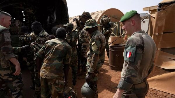 媒體：法國開始從尼日爾撤軍 - 俄羅斯衛星通訊社