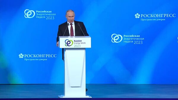 普京：亚洲五大经济体对世界经济的贡献已经超过美国和欧盟的贡献 - 俄罗斯卫星通讯社