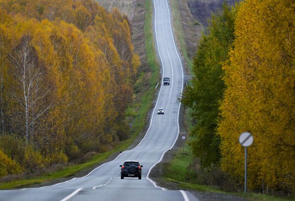 新西伯利亚州的林间公路 - 俄罗斯卫星通讯社