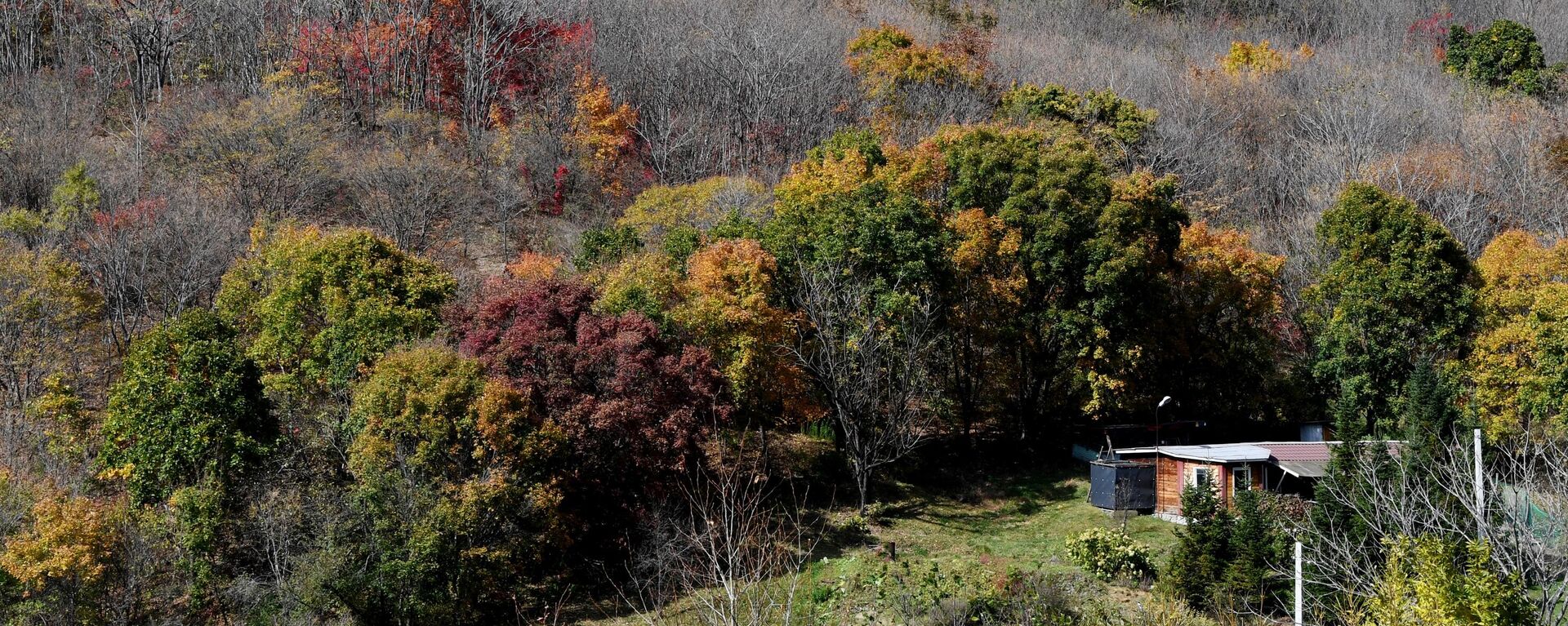 今年前九月近20万名外国游客赴俄滨海边疆区旅游 - 俄罗斯卫星通讯社, 1920, 06.10.2025