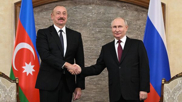 普京与阿利耶夫在吉尔吉斯斯坦进行会晤 - 俄罗斯卫星通讯社