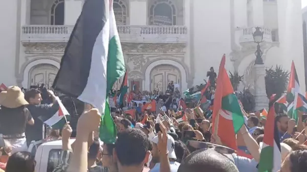 Шествие в поддержку палестинского народа в столице Туниса.   - 俄罗斯卫星通讯社