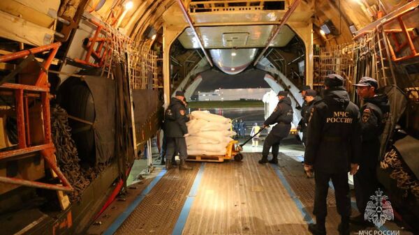 俄緊急情況部向加沙地帶居民提供27噸人道主義援助物資 - 俄羅斯衛星通訊社