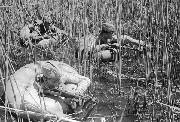 1943年9月，在第聂伯河下游区河滩上的侦擦行动 - 俄罗斯卫星通讯社