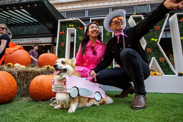 马萨诸塞州波士顿，装扮成小汽车的宠物狗准备去参加狗狗万圣节。 - 俄罗斯卫星通讯社