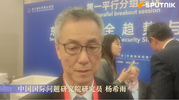 采访中国国际问题研究院研究员杨希雨 - 俄罗斯卫星通讯社