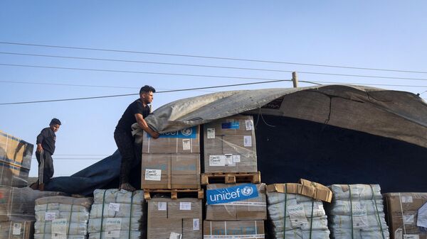 以國防部：一天內至少70輛載有人道主義援助物資的卡車進入加沙地帶 - 俄羅斯衛星通訊社