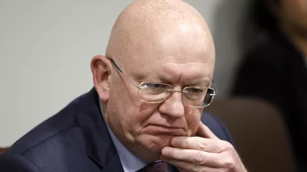 俄罗斯常驻联合国代表瓦西里·涅边贾 - 俄罗斯卫星通讯社