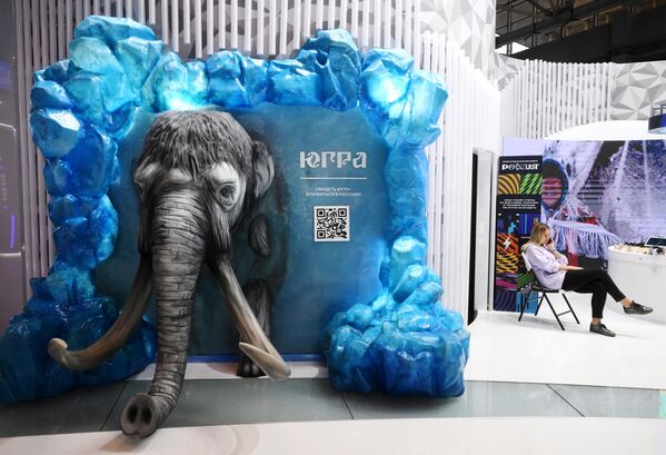 “俄羅斯”國際展覽和論壇開幕前，“尤格拉”展台位於“中央”館。 - 俄羅斯衛星通訊社