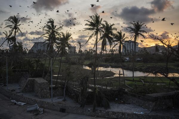2023年10月28日，在墨西哥阿卡普爾科市，鳥兒從“奧蒂斯”颶風過後的廢墟上空飛過。 - 俄羅斯衛星通訊社