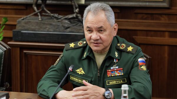 俄羅斯防長紹伊古表示，俄羅斯國防工業將急需武器的產量提高數倍 - 俄羅斯衛星通訊社