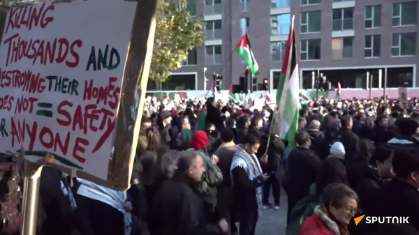 英國首都倫敦舉行了支持巴勒斯坦的抗議活動 - 俄羅斯衛星通訊社