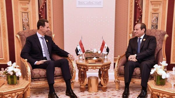 埃及總統阿卜杜勒·法塔赫·塞西和敘利亞總統巴沙爾·阿薩德 - 俄羅斯衛星通訊社