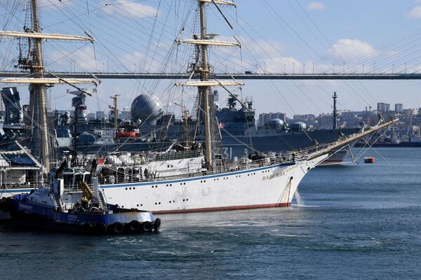 符拉迪沃斯托克金桥旁的船只。 - 俄罗斯卫星通讯社