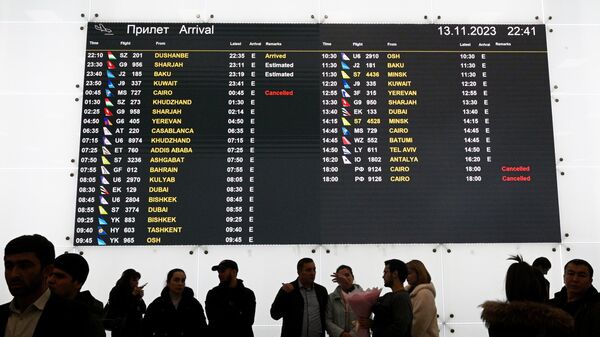 多莫杰多沃机场（资料图片） - 俄罗斯卫星通讯社