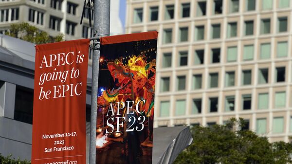 美方已发出在旧金山APEC峰会上与俄进行“幕后”对话的信号 - 俄罗斯卫星通讯社