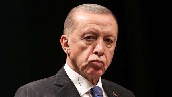 土总统：尽管土耳其已付款但美国仍拒绝提供F-16战机 - 俄罗斯卫星通讯社