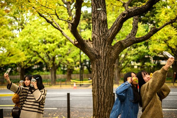 東京，人們在參觀明治神宮外苑，正逢秋季，銀杏樹樹葉開始變成秋天的顏色。 - 俄羅斯衛星通訊社