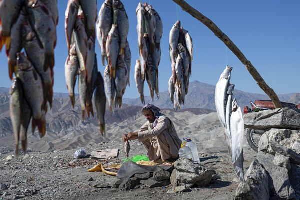 阿富汗，喀布爾省，在蘇羅比區山丘的山路上，一名等待著顧客的小販正在挑揀著魚。 - 俄羅斯衛星通訊社