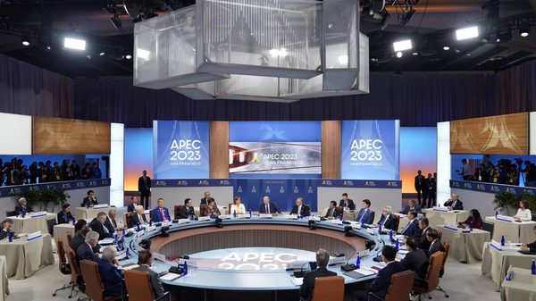 亚太经合组织领导人宣言中未提及乌克兰和以色列问题 - 俄罗斯卫星通讯社