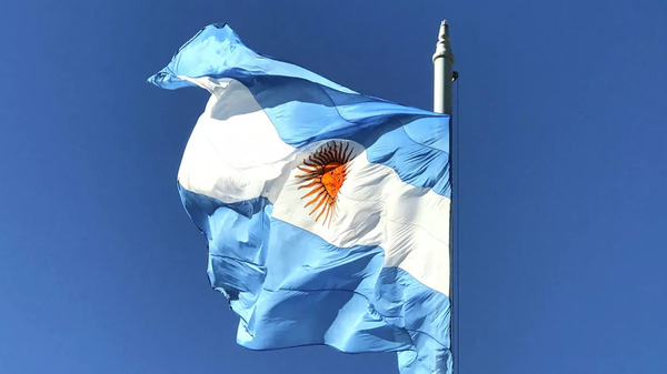 專家：阿根廷新總統不可能拒絕與中國建立廣泛的經貿夥伴關係 - 俄羅斯衛星通訊社