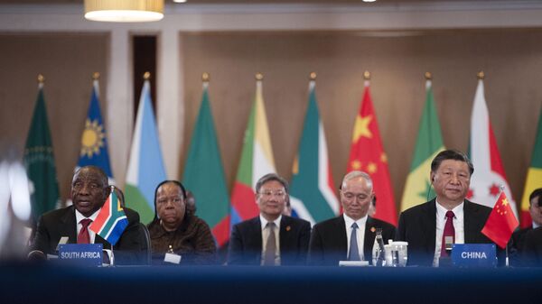 专家：金砖国家特别峰会对解决巴以冲突具积极意义 - 俄罗斯卫星通讯社