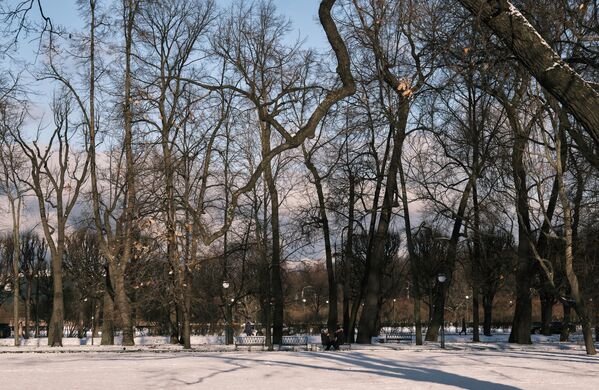 圣彼得堡米哈伊洛夫花园里的美景。 - 俄罗斯卫星通讯社