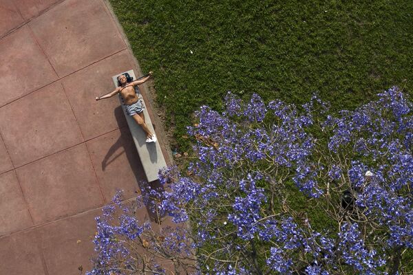 阿根廷，布宜諾斯艾利斯市中心，一名男子在曬日光浴。 - 俄羅斯衛星通訊社