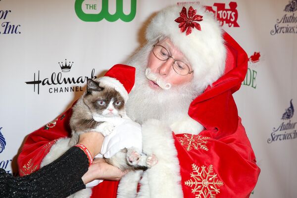 暴躁貓與聖誕老人一同出席第84屆好萊塢聖誕大遊行。 - 俄羅斯衛星通訊社
