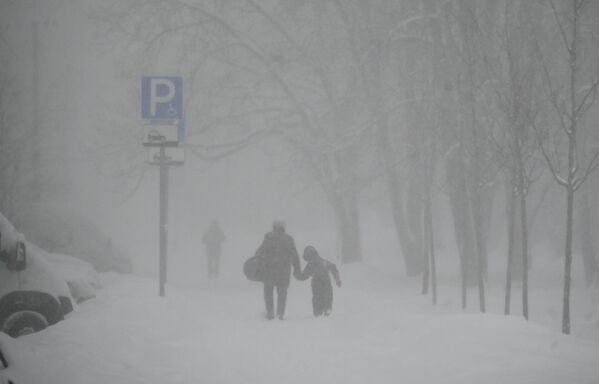 一男子牵着孩子在雪中行走 - 俄罗斯卫星通讯社