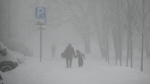 暴风雪（资料图片） - 俄罗斯卫星通讯社