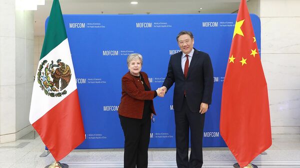 中國商務部部長王文濤在京會見墨西哥外交部長巴爾塞納   - 俄羅斯衛星通訊社